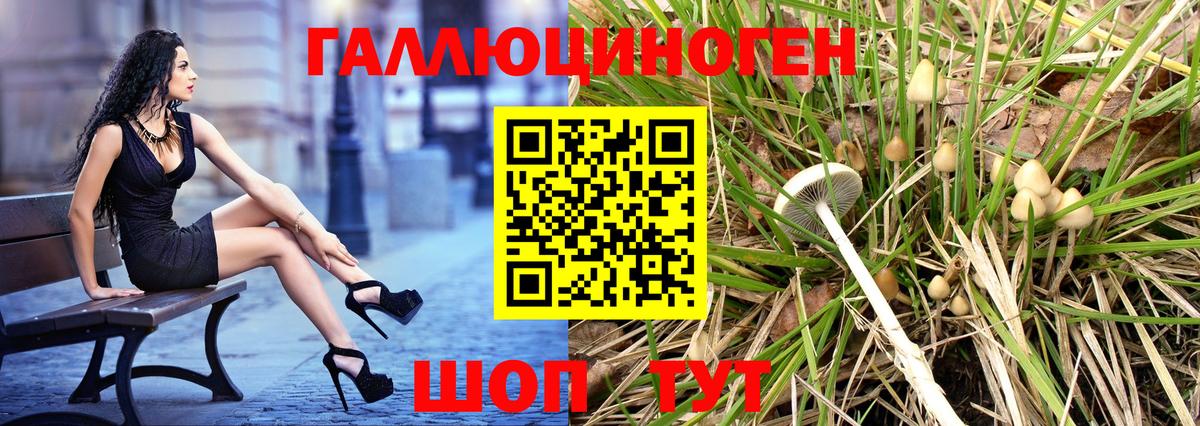 Галлюциногенные грибы Psilocybine cubensis Дмитров