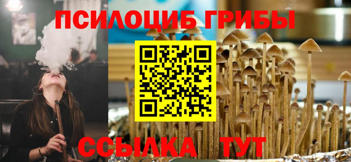 Галлюциногенные грибы мицелий  Псилоцибиновые грибы ЛСД  Вход с VPN  Дмитров 
